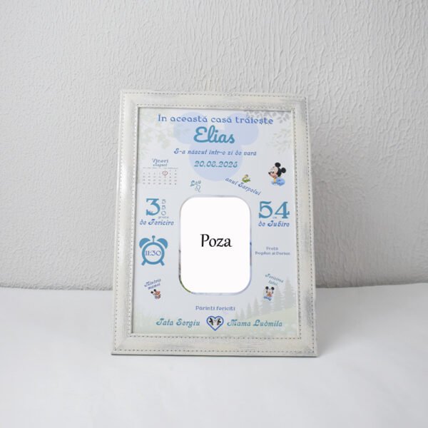 Metrica „Mickey Mouse(sezon Vară) cu 1 poza” - Format A4