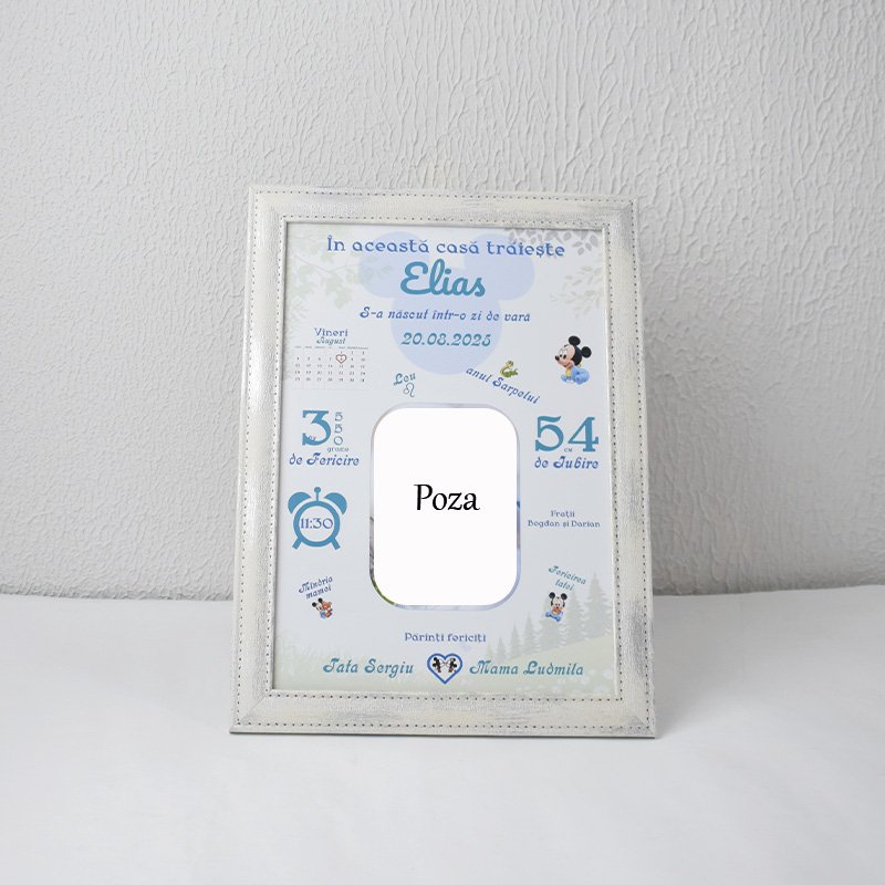 Metrica „Mickey Mouse(sezon Vară) cu 1 poza” - Format A4