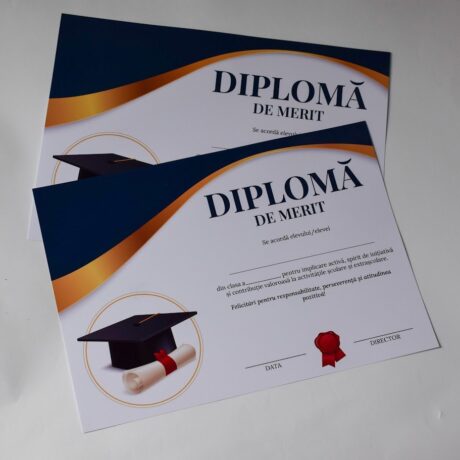 Diplomă de Merit