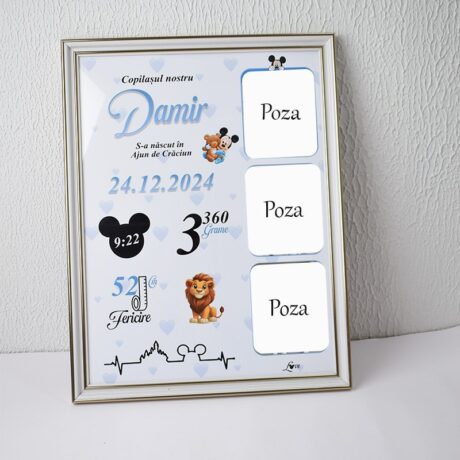 Metrica  Mickey mouse 3 poze - Format A3
