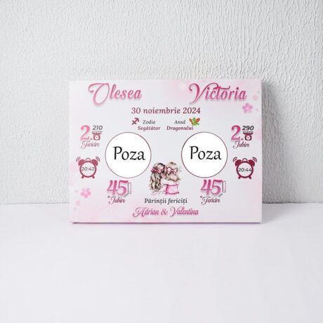 Metrica pe pânză 30×40 cm – pentru două fete